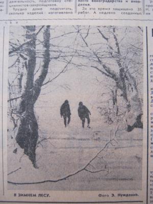 Прикрепленное изображение: IMG_2544.JPG